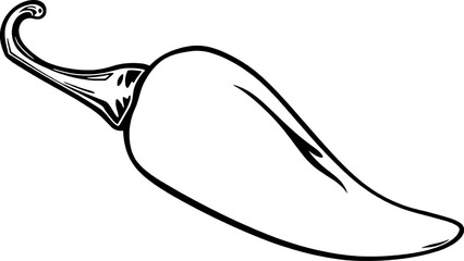 Hand-Drawn Illustration Of A Single Pale Green Chili Pepper