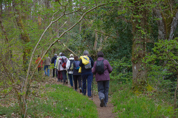 Groupe de randonneurs dans la campagne en Bretagne