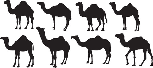 Silhouette camels, black and white illustration, desert animals, repeating pattern, side view, dromedary outlines, minimalist design, camel caravan, simple shapes, wildlife icons