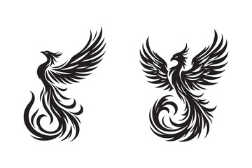 Phoenix bird silhouette with white background