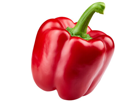 Fresh red bell pepper isolated on transparent background with green stem