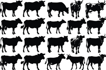  Cow Silhouette Vector Set – Bulls & Cattle Clipart for Farm & Ranch Logos