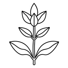 sage--flower-line-art-vector-on-white-background-.eps