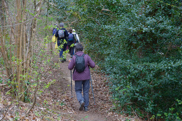 Groupe de randonneurs dans la campagne en Bretagne
