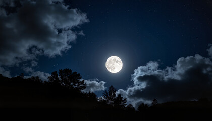 Fototapeta premium Full Moon Illuminating Starry Sky with Silhouetted Trees for Nature Blogs, Astronomy Websites, Nighttime Photography, and Social Media Posts