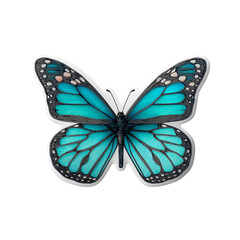 Obraz premium Minimalist sticker of a teal butterfly with thin black outline on transparent background, no shadow, symmetrical wings, delicate beauty