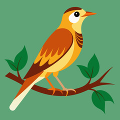 vector illustration of a bird