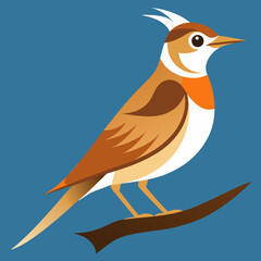 vector illustration of a bird