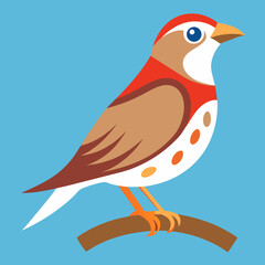 vector illustration of a bird