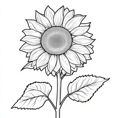 Black and white line art illustration of a sunflower.