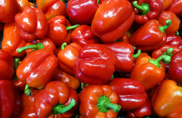 Still life with close-up view of many red whole sweet peppers on the vegetable department store showcase as background