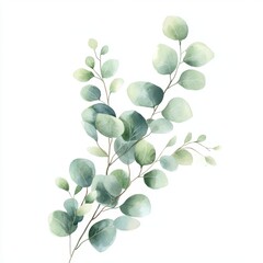 Obraz premium Minimalist Watercolor Eucalyptus – Soft Green Leaves and Subtle Shading in Delicate Botanical Style