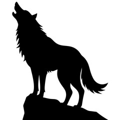 A fierce wolf standing on a rock, howling silhouette isolated on white background