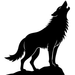 A fierce wolf standing on a rock, howling silhouette isolated on white background