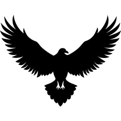  A large eagle spreading its wings before taking flight silhouette isolated on white background