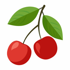 cherry tree leaves and red cherry vector isolated on white background