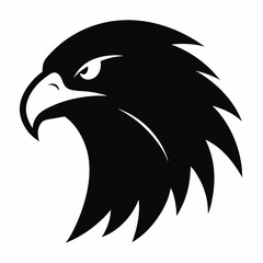 eagle head vector illustration
