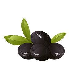 Black olives. For bottle product package, cuisine cooking or salad.Vector image of olives in cartoon flat simple style