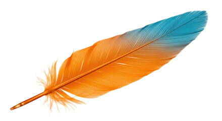 Isolated Orange and Blue Feather © Lisa
