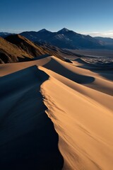 Fototapeta premium Golden sands stretch under a clear sky at dawn