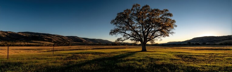 Fototapeta premium Majestic tree stands alone in expansive meadow at dusk