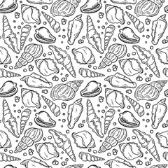 Seamless pattern of hand drawn seashells on white background. Marine style design. Vector illustration. Coastal and beach theme concept for textile, wallpaper and interior design.