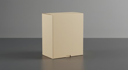 Neutral Beige Cardboard Box Packaging Shipping Box