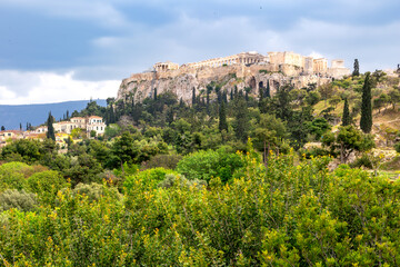Fototapeta premium Parthenon in Athens framed by spring wildflowers and pine trees