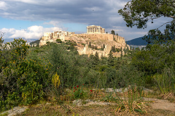 Fototapeta premium Parthenon in Athens framed by spring wildflowers and pine trees