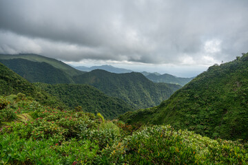 Views along Freshwater Lake Trail on Domica in the Caribbean along Etang