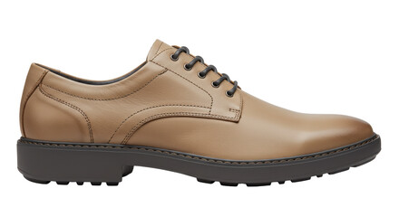 Isolated Brown Leather Shoe