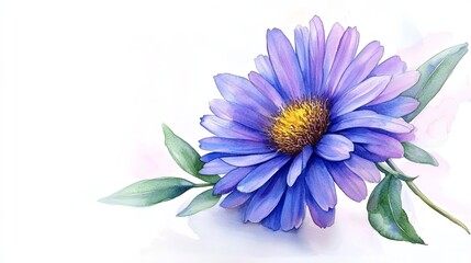 Blue Aster Botanical Watercolor Painting