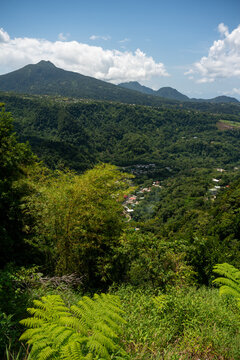 View over Roseau Valley on Dominica (Caribbean), site of aerial tramway construction