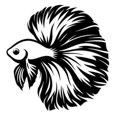 Stunning Black and White Betta Fish Illustration Aquatic Life Graphic Design