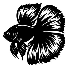 Black and White Elegant Siamese Fighting Fish Illustration Aquatic Animal Graphic Design