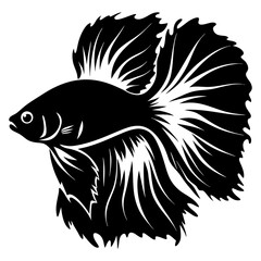 Stunning Black and White Illustration of a Betta Fish with Flowing Fins
