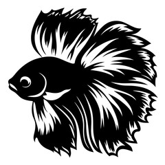 A striking black and white illustration of a Siamese fighting fish betta fish with flowing fins