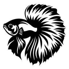 Stunning Black and White Illustration of a Siamese Fighting Fish Betta Splendens Aquatic Animal