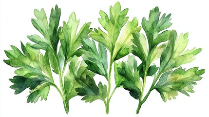 Obraz premium Green Leaves Watercolor Painting - Isolated Sprig Artwork