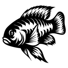 A Striking Black and White Illustration of a Cichlid Fish with Detailed Fin Patterns and Bold Outlines