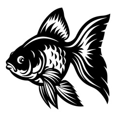 Black Moor Goldfish Aquatic Animal Illustration Vector Graphic Design
