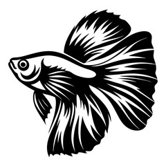 Striking Black and White Illustration of a Betta Fish a Siamese Fighting Fish with Flowing Fins