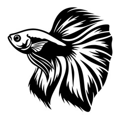 Majestic Black and White Betta Fish Artistic Illustration Tail Fins Aquatic Animal Design