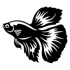 A Striking Black and White Illustration of a Siamese Fighting Fish Betta Splendens