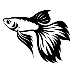 Elegant Black and White Stylized Betta Fish Design Artistic Illustration