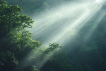 Fototapeta premium Majestic ancient forest dense textured foliage and intricately marked trunks bathed in gentle ambient light a serene natural haven
