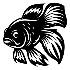Black Moor Goldfish Aquatic Animal Illustration Vector Graphic Design