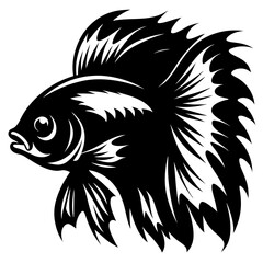 Striking Black and White Illustration of a Betta Fish with Elaborate Fins