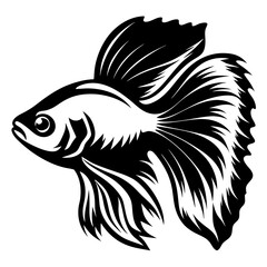 Stunning Black and White Illustration of a Siamese Fighting Fish Betta Splendens Aquatic Animal