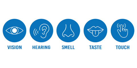 Human senses icon set. Vision eye, smell nose, hearing ear, touch hand, taste mouth with tongue. set of human five senses icon.